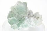 Green, Cubic Fluorite Crystals on Quartz - Inner Mongolia #216790-1